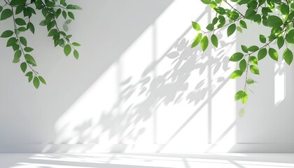 Bright light casts leaf shadows on a white wall, serene and natural
