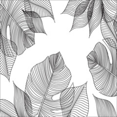 Black and white tropical leaf line-art frame