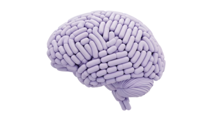 3D purple brain model composed of capsule pills isolated on white background, conceptual healthcare and mental health illustration