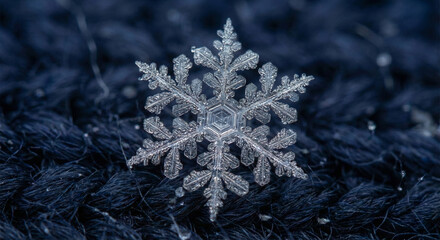 snowflake on the snow