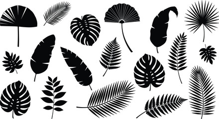 Tropical leaves silhouette collection, botanical jungle foliage shapes, palm monstera banana leaf set, nature illustration isolated white background © Md