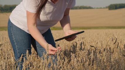 A Woman Engaged in Utilizing a Tablet While Working in an Agricultural Field Setting