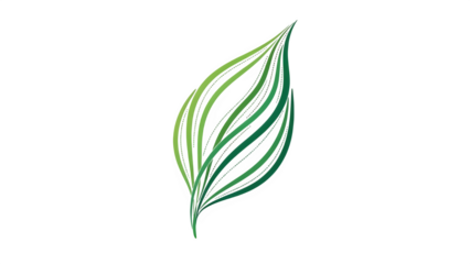 A single green leaf isolated on transparent background with yellow stripe and stem