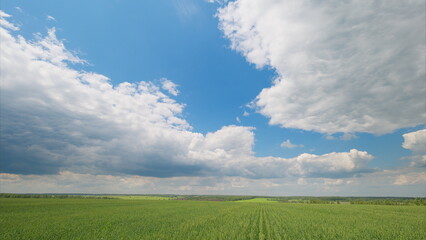 A Beautiful and Cloudy Sky Over a Lush and Vibrant Green Field on a Peaceful Day