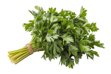 fresh parsley bunch isolated on white background