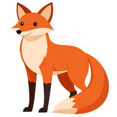 Obraz premium A cartoon illustration of a friendly red fox standing with a white chest and tail tip, looking forward.