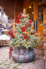 Christmas tree decorations in front of a shop entrance