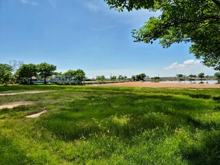 Wide green grassy field near calm shoreline with scattered trees under bright blue sky