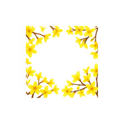 싱그러운 개나리 가지와 꽃송이 테두리 일러스트 디자인