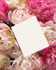 Blank card on pink and white peonies