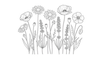 Field of Wildflowers in Outline Style