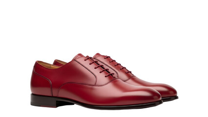 Sophisticated Maroon Red Leather Oxford Dress Shoes for Men Isolated on White Background