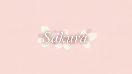 Sakura flower on pink background