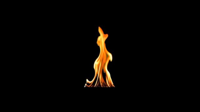 Realistic orange and yellow fire flames flickering and dancing against a dark black background.
Keywords: fire, flame, orange, yellow, heat, warm, flicker, burn, blaze, light, energy, hot, element, re