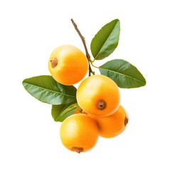 Fresh loquat fruits are attached to a green-leafed branch, with vibrant orange skin, natural texture, and ripeness. 
