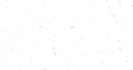 White flower petals sway in the wind. Isolated on alpha background. 3D rendering.