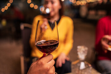 young woman drinking wine in the bar