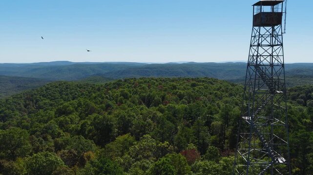 Broad aerial panorama pullback reveals tower in Devils Knob Arkansas with birds soaring in sky, peak fall foliage