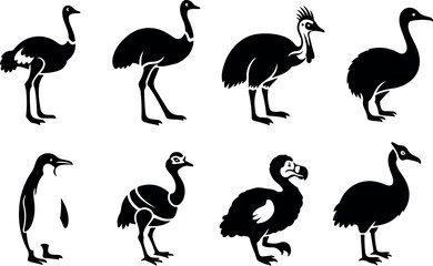 Silhouette of Extinct and Modern Flightless Birds Ostrich, Emu, Dodo, Penguin © Chico Store