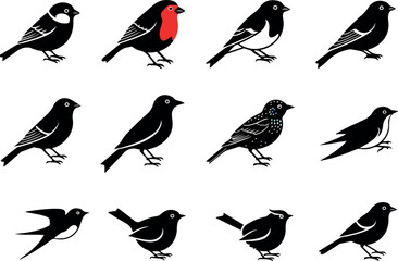 Obraz premium Diversity of bird species An illustrative collection of bird silhouettes