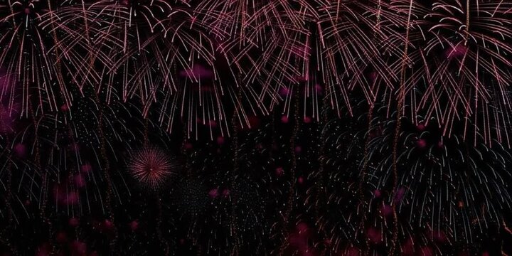 Fireworks explode above palm trees on a dark night