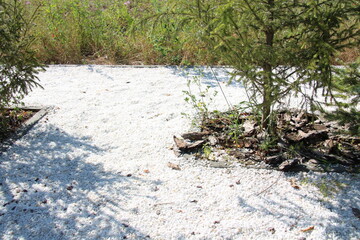 the path is lined with white stones,