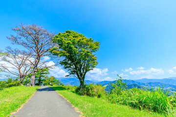 夏の国見ヶ丘展望台　宮崎県高千穂町　Kunimigaoka Observatory in summer. Miyazaki Pref, Takachiho Town.
