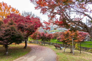 Naklejka premium 奈良県・秋の竜田公園