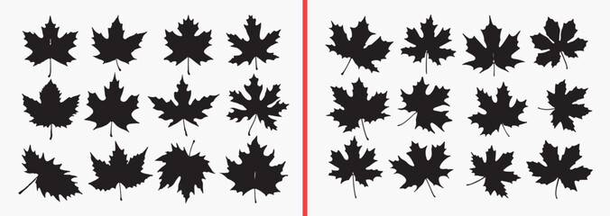 maple leaf silhouette, autumn leaf clipart, fall foliage shapes, leaf outline illustration, nature leaf graphics, black white leaf art, printable autumn leaves, seasonal foliage design, leaf silhouett © Geetaroy