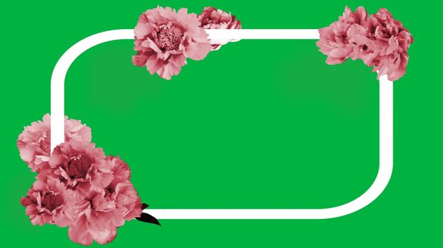 Animation of a frame with flowers on green background