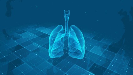 Digital Human Lungs Anatomy on Futuristic Medical Data Grid