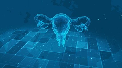Digital Human Uterus Anatomy on Futuristic Medical Data Grid