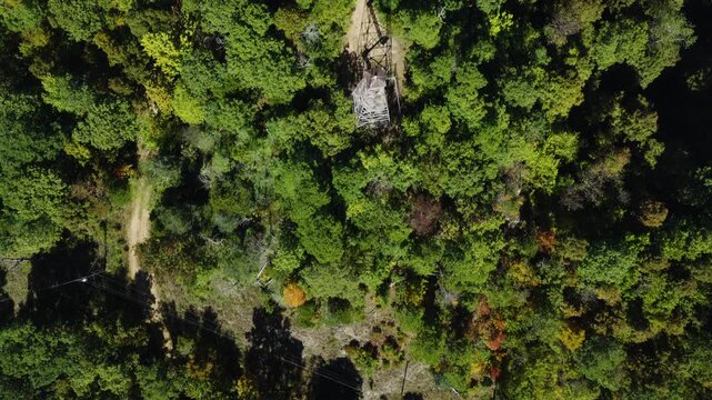 Top down aerial of lush green forest canopy and Devils Knob Fire tower lookout, dense woodland texture backdrop