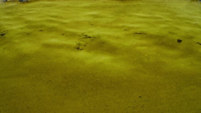 Surface of shallow water showing murky, golden water with patches of sand and algae near the banks, depicting a natural aquatic environment with limited visibility underwater.