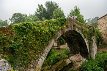A bridge covered in green ivy  in Li&eacute;rganes. A person is standing on the bridge