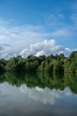 A calm lake with trees in the background. The sky is clear and blue. The water is still and reflects the trees and sky