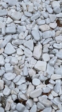 White decorative garden stones forming a natural textured surface