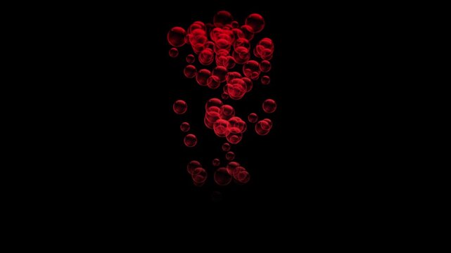 Rising stream of translucent red bubbles or blood cells on a black background for medical and abstract motion