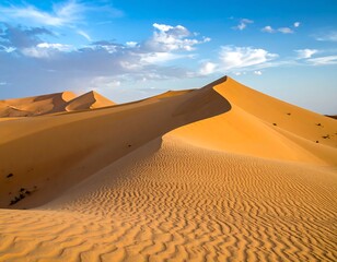 Vast dunes under a beautiful sky. Desert landscape with golden textures