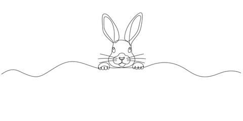 Easter Bunny Line art drawing