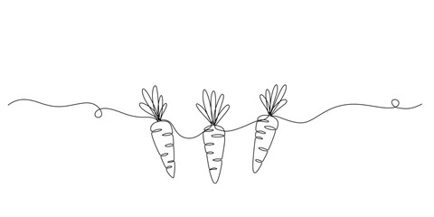 Continuous one line drawing of carrot