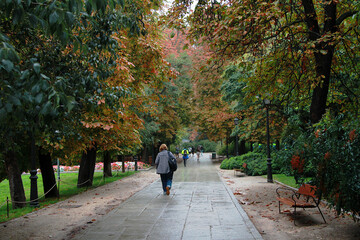 Arboles y hojas colorido y camino del parque en oto&ntilde;o con mujer de espaldas