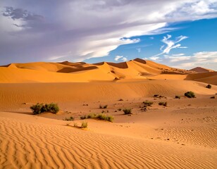 Vast dunes under cloudy sky, with sparse vegetation