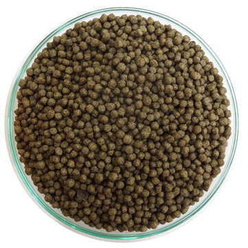 Close-up of brown fish food pellets in a glass dish