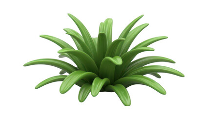 Vibrant green succulent plant isolated on transparent background