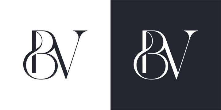 BV Letter Logo Design Vector , Initial Logo Vector for Identity