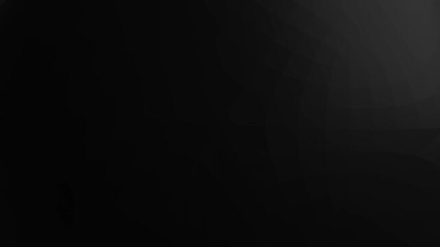 Abstract Dark Sphere Ultra Slow Cinematic Motion Background
Premium abstract 3D dark sphere with ultra slow cinematic rotation.
Perfect for luxury branding, technology intros, title background.