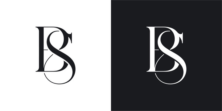 BS Initial Letter Logo Design Vector , Initial Logo Vector