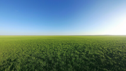 Sustainability concept background. Grass field with sky.