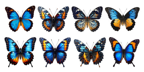 Fototapeta premium Set of Blue Butterflies Isolated on Transparent Background